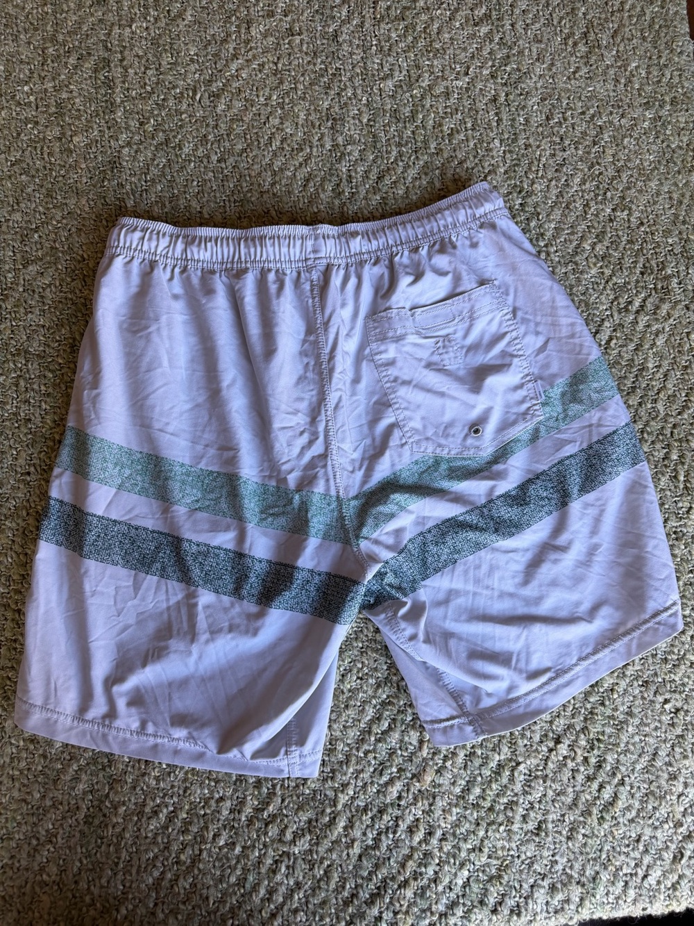 Vuori White Athletic Shorts with Teal and Gray Stripes - Picture 2 of 4
